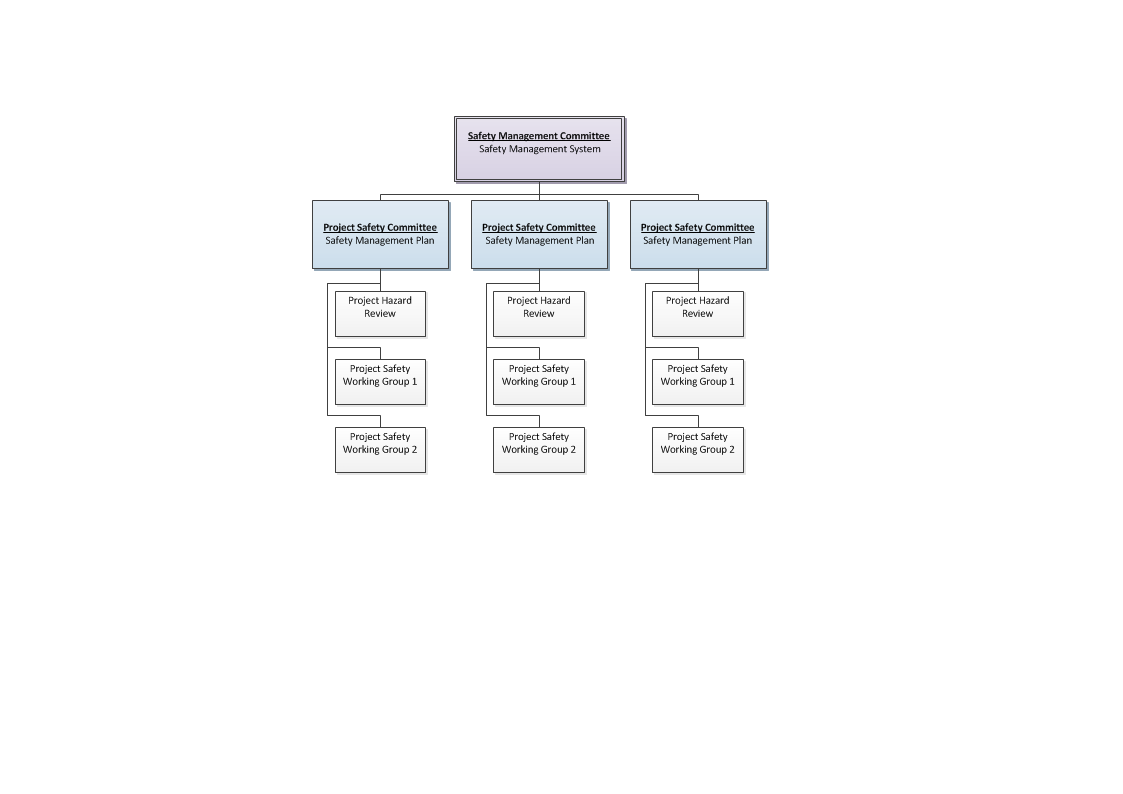 SMP02. Safety Committee ASEMS Online